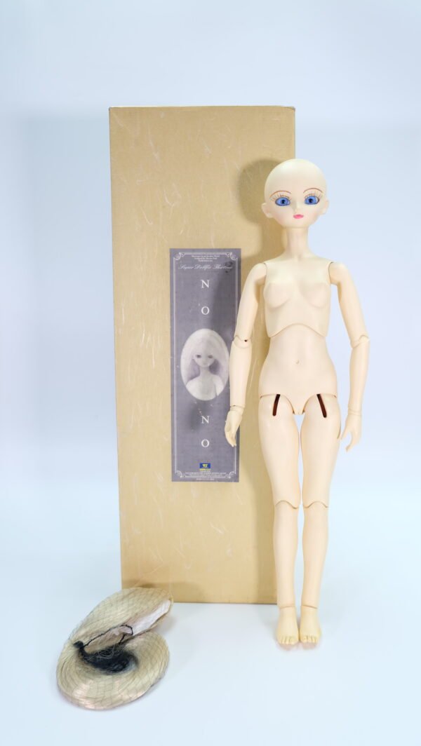 Volks / SD13 / NONO