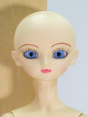 Volks / SD13 / NONO