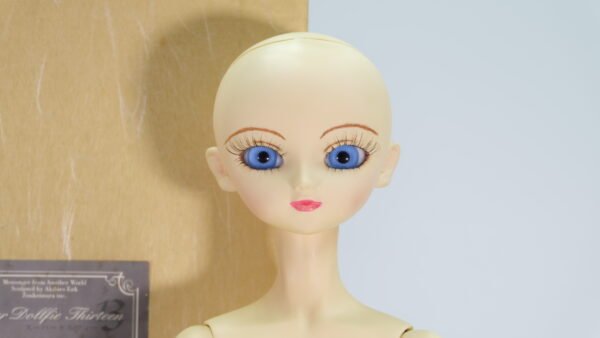 Volks / SD13 / NONO