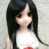 Wig / 8-9 inch / Semi-long Layer (Black #2)
