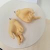 Luts / Hands for Delf EL Doll